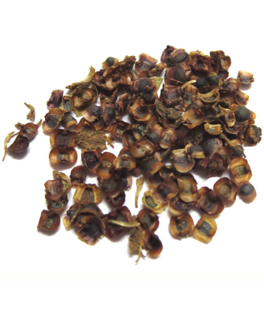 Dcs 10pcs Orchid Seeds Flower Seeds Buy Dcs 10pcs Orchid Seeds Flower Seeds Online At Low Price Snapdeal