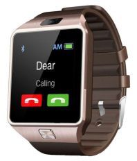 Branded24x7 Brown Smart Watches With Call Function