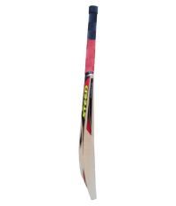 Steed Echo Model English Willow Bat