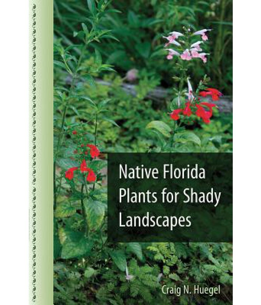 Native Florida Plants for Shady Landscapes Buy Native Florida Plants