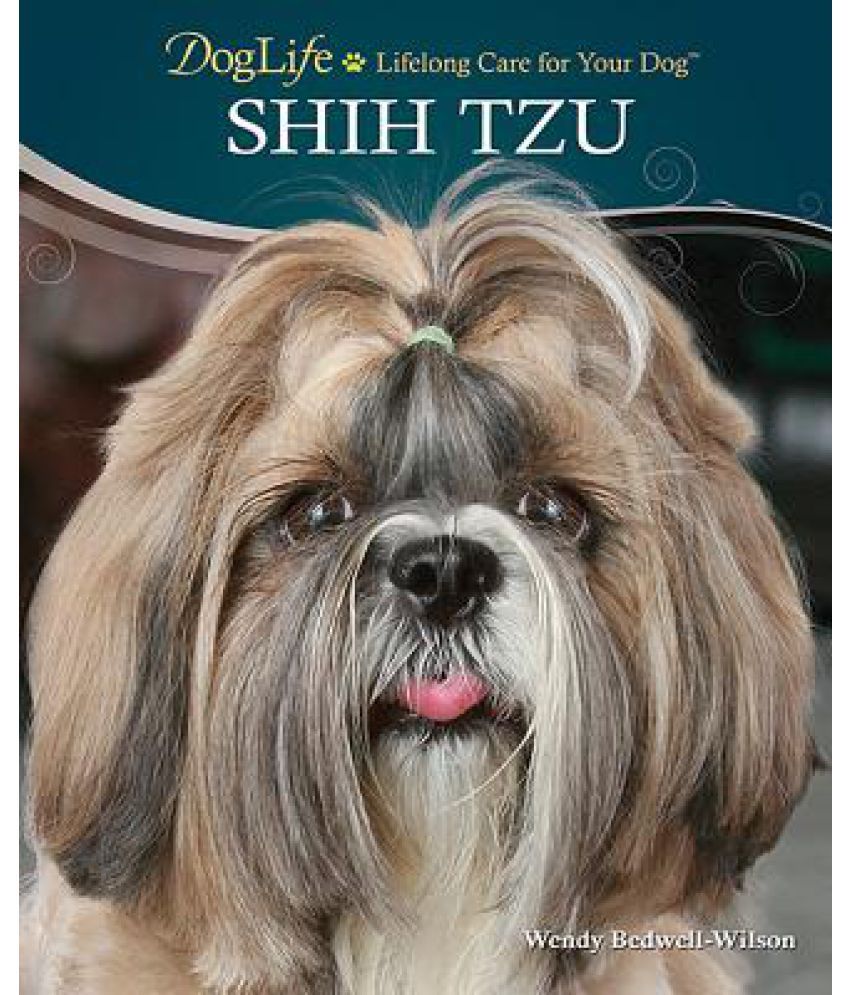 buy shih tzu online