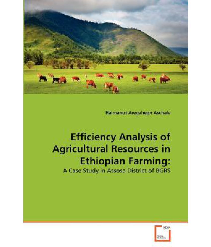 agricultural economics research proposal in ethiopia