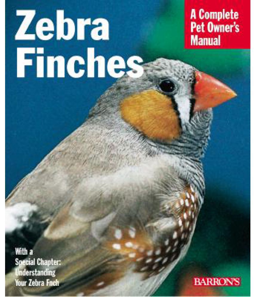 Zebra Finches Buy Zebra Finches Online at Low Price in