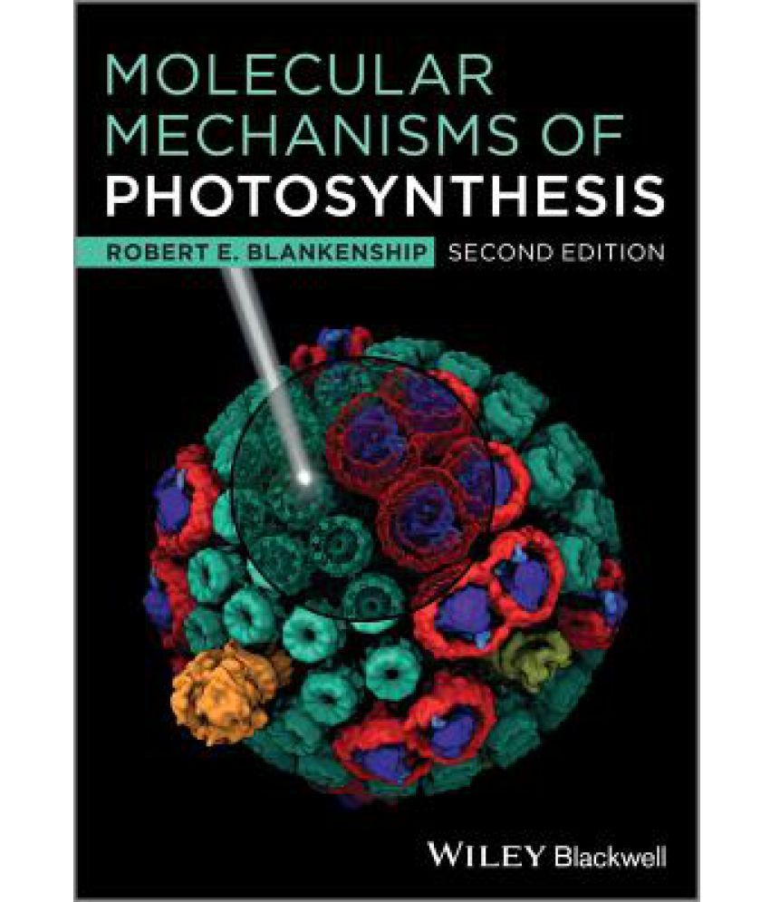 mechanism of photosynthesis mechanism of photosynthesis