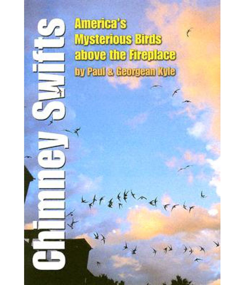 Chimney Swifts America S Mysterious Birds Above The Fireplace
