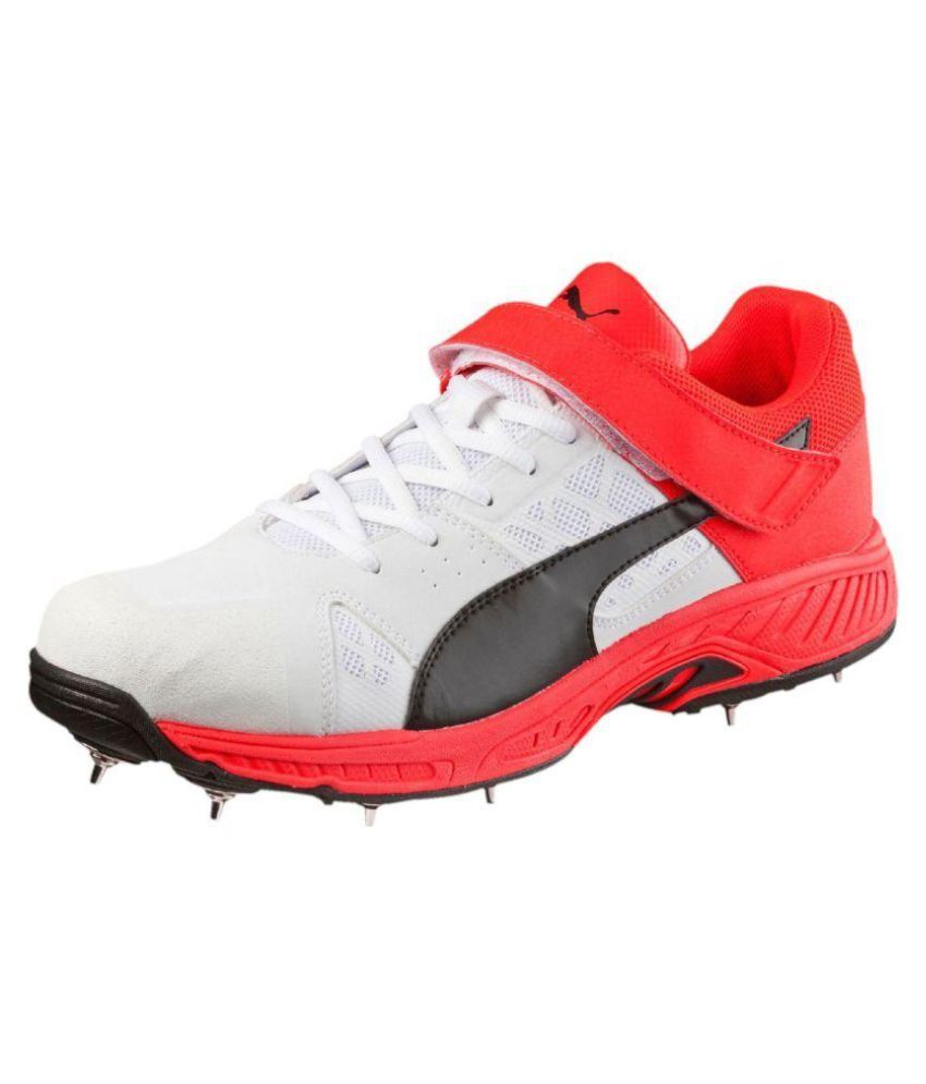 puma evo speed shoes