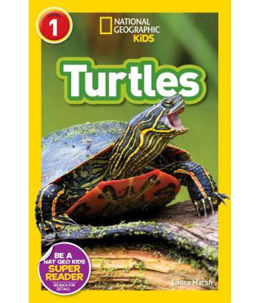 Turtles Buy Turtles Online at Low Price in India on Snapdeal