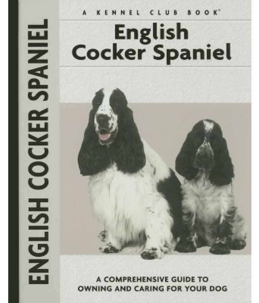 English Cocker Spaniel: Buy English Cocker Spaniel Online at Low Price