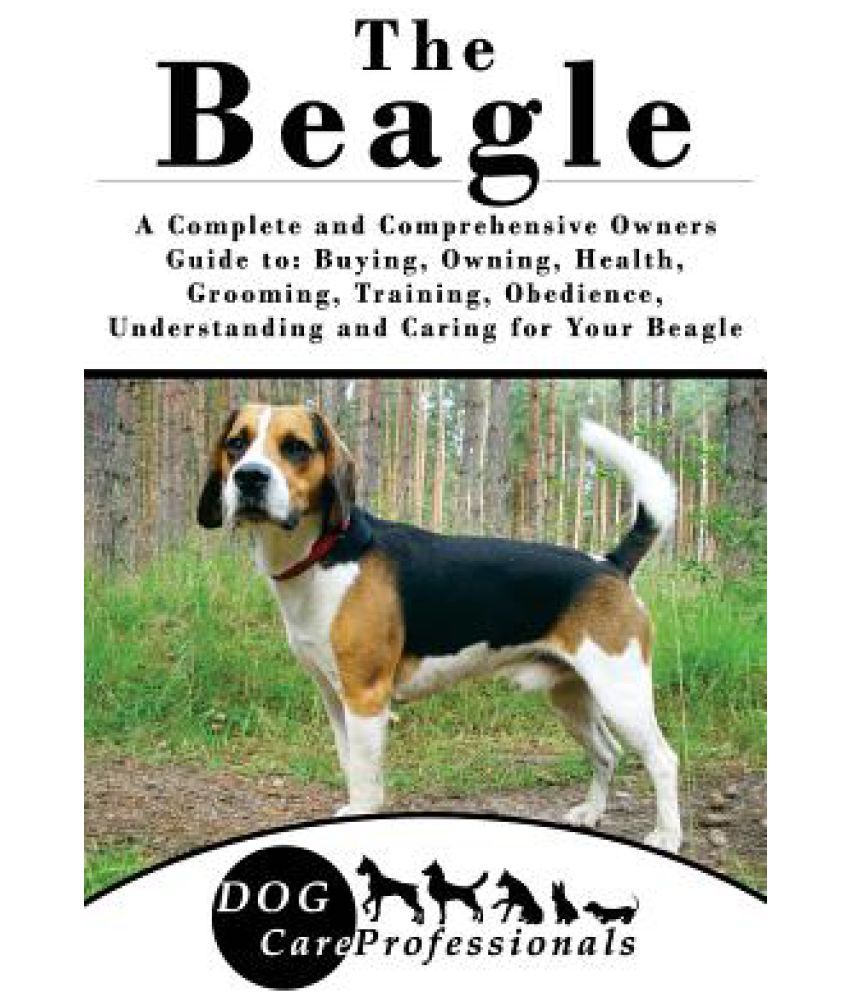 Much cost beagle in india does how a Maltese Dog