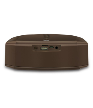 iball bluetooth speaker bt9