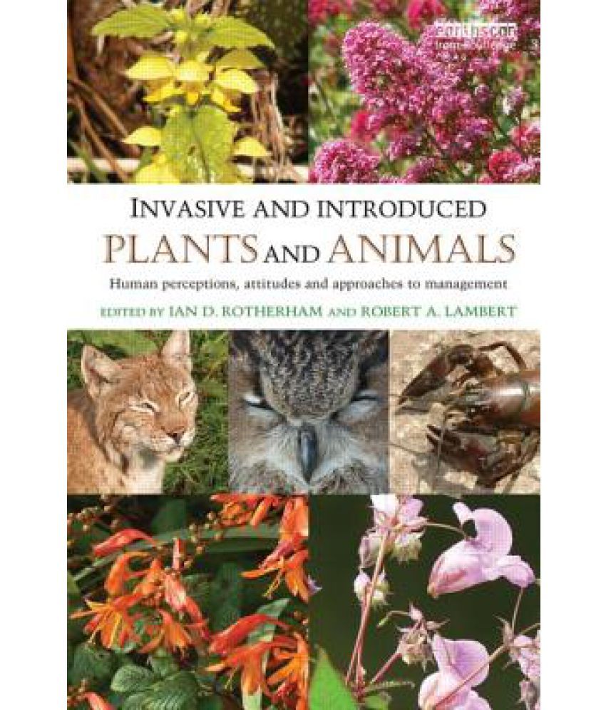 Invasive and Introduced Plants and Animals: Buy Invasive and Introduced Plants and Animals Online at Low Price in India on Snapdeal Invasive and Introduced Plants and Animals: Buy Invasive and Introduced Plants and Animals Online at Low Price in India on Snapdeal