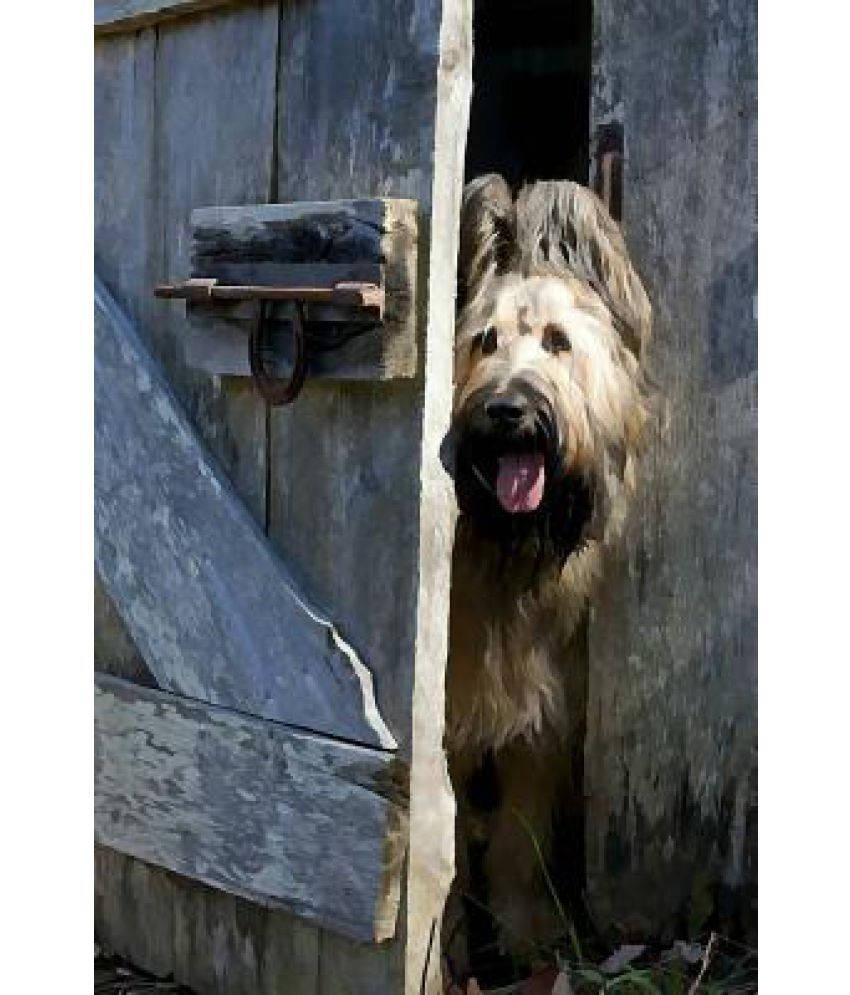 Briard Online At Low Price In India On Snapdeal Briard Online At Low Price In India