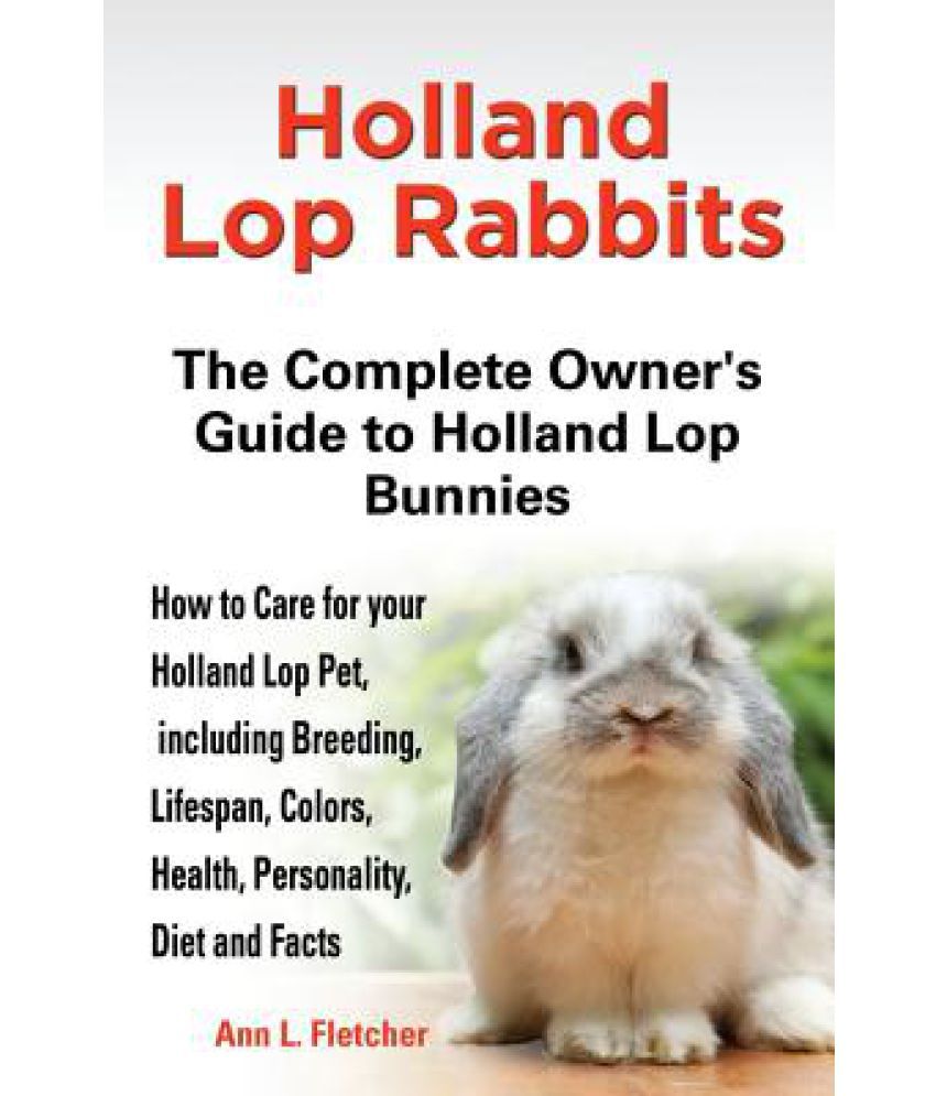 lop rabbit price