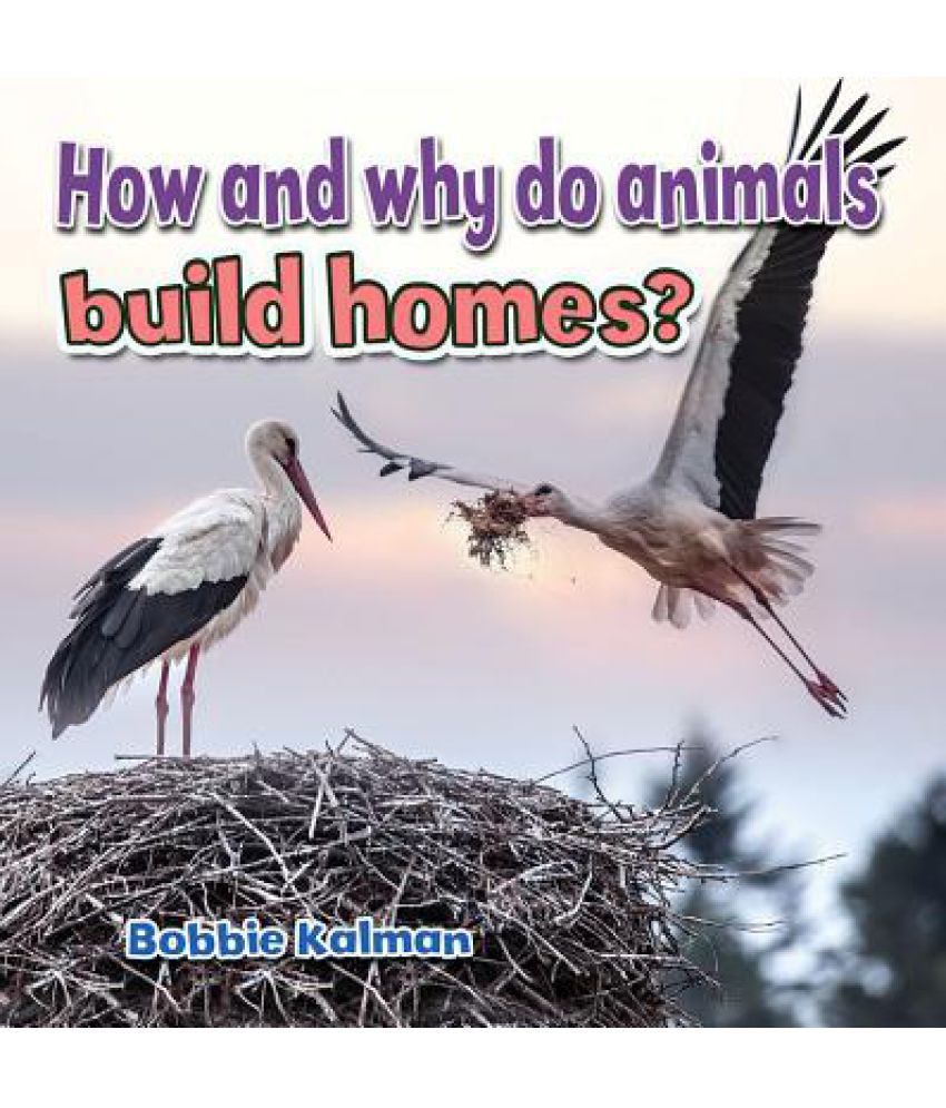 How and Why Do Animals Build Homes?: Buy How and Why Do Animals Build Homes?  Online at Low Price in India on Snapdeal