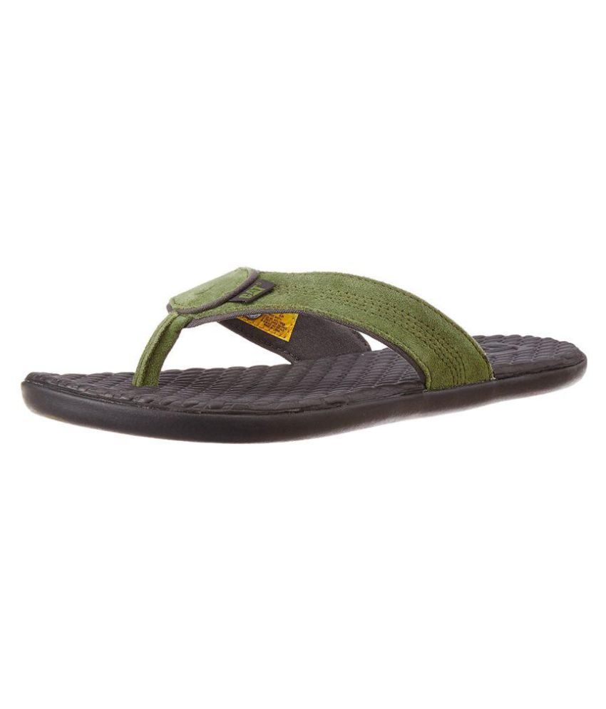 cat in a flip flop
