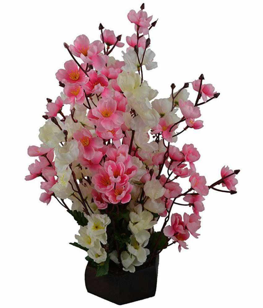 Kaykon Orchids Flowers With Pot Multicolour: Buy Kaykon Orchids Flowers ...