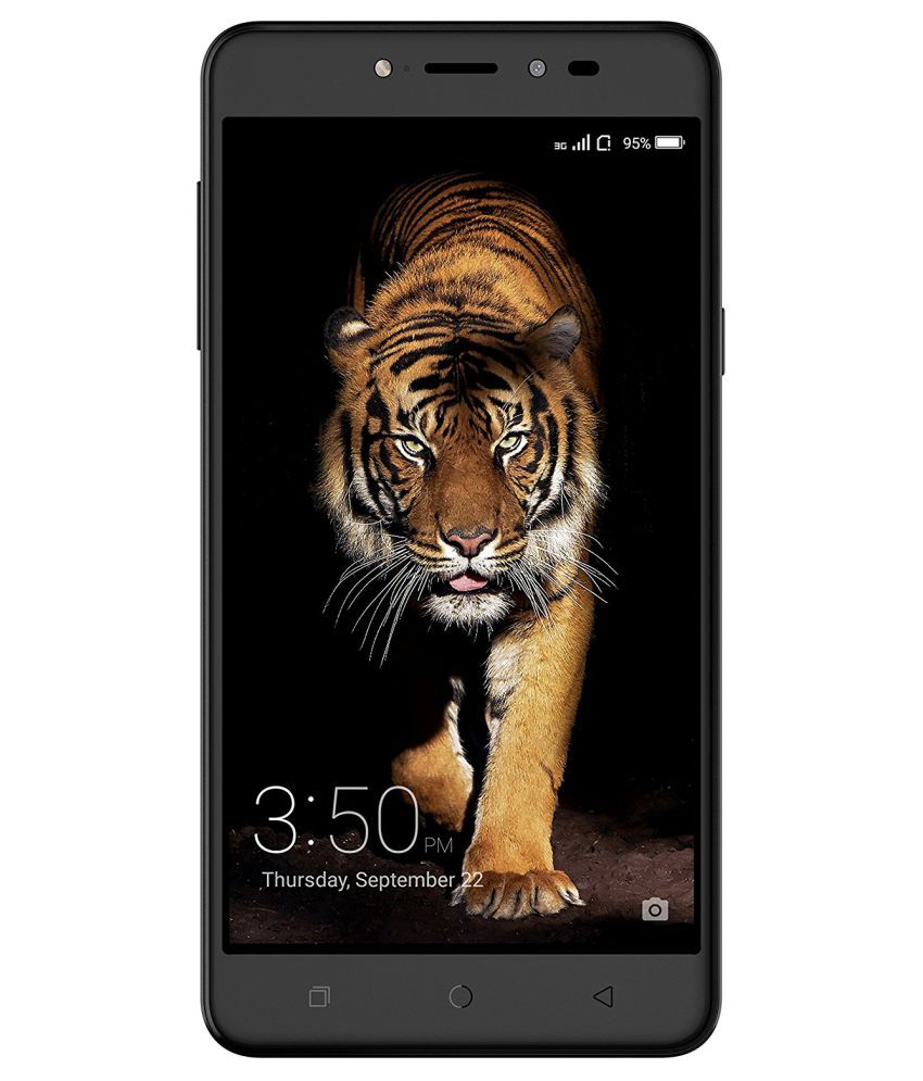 vivo y 31 black