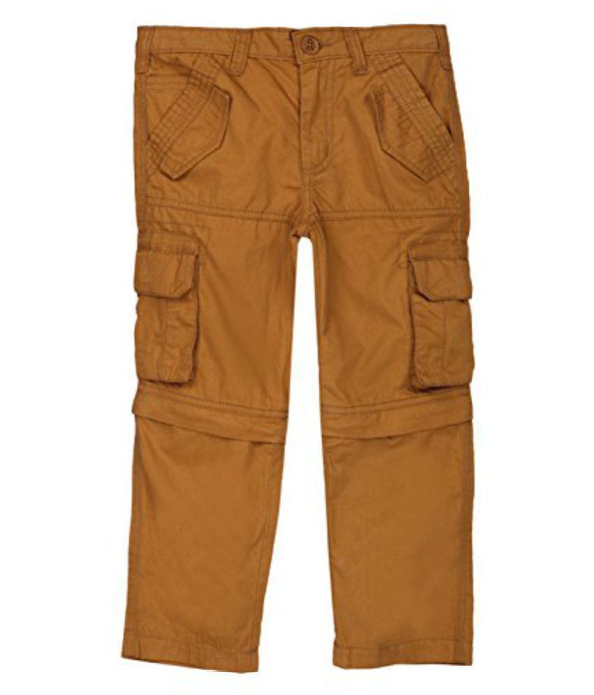 pantaloons cargo pants