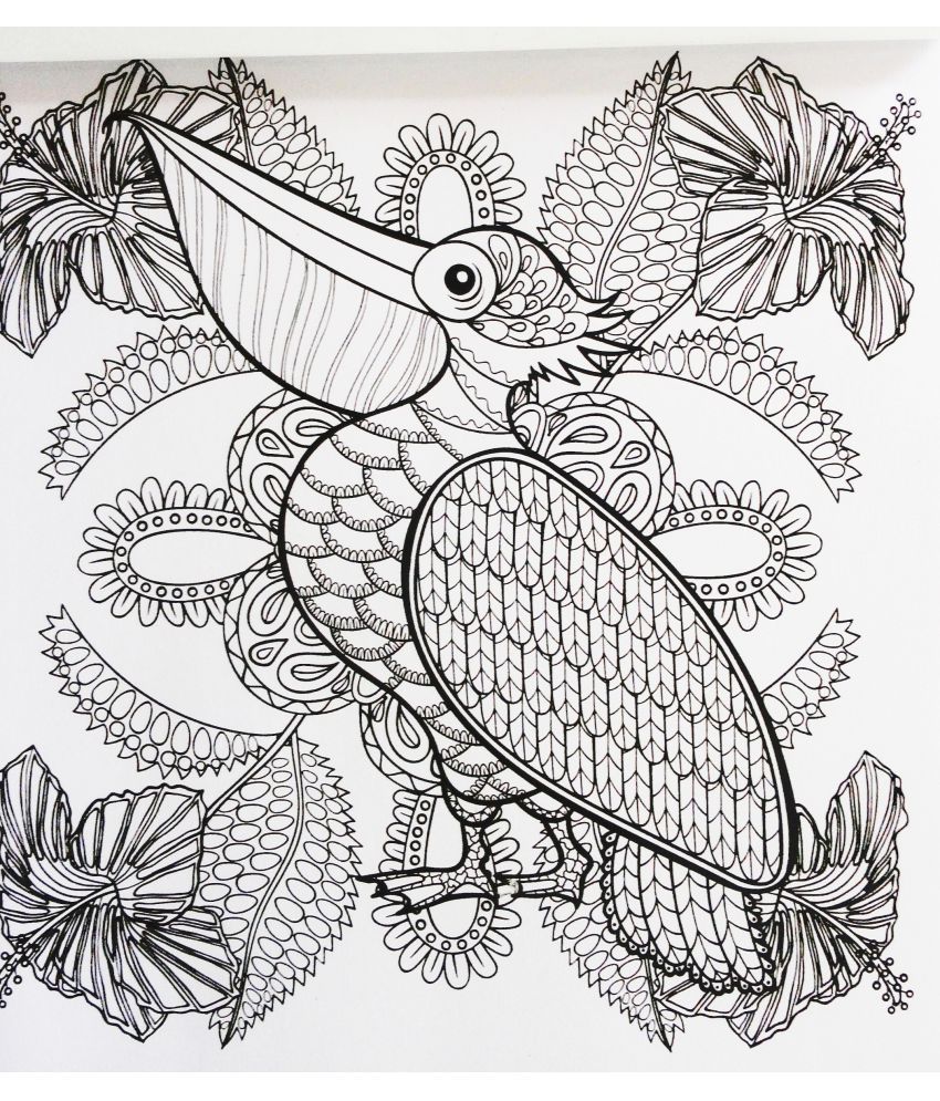 Download Birds and Butterflies Colouring for Mindfulness: Buy Birds ...