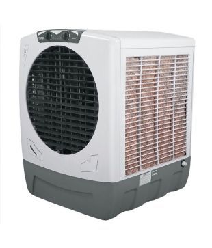 maharaja whiteline rambo