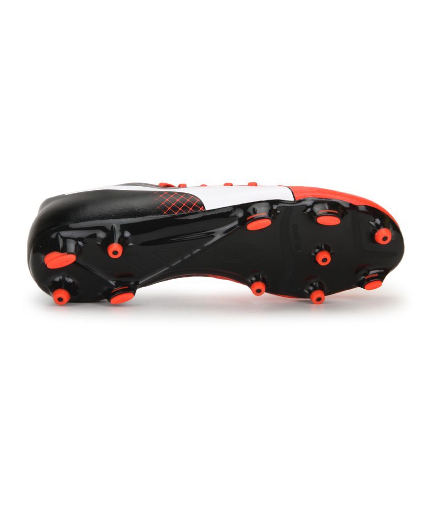 evopower 3.3