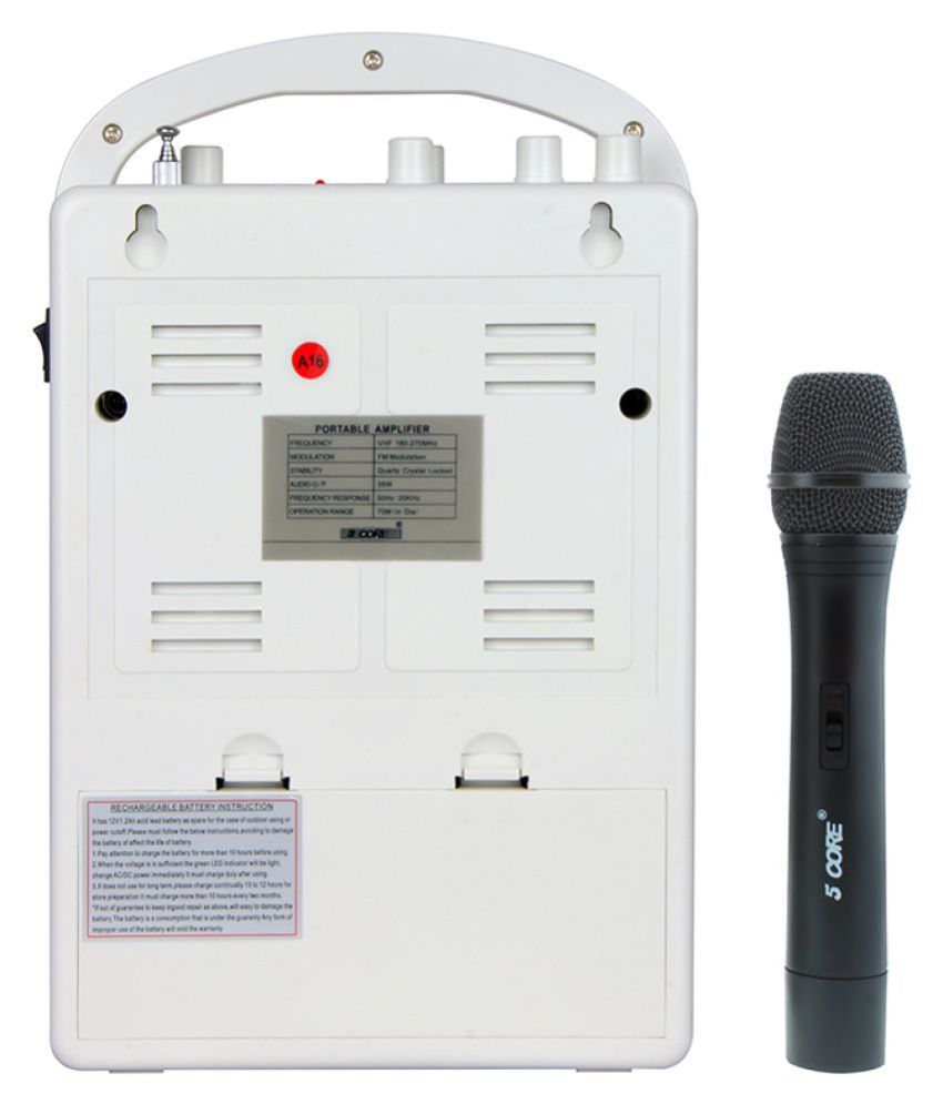 5 core portable amplifier