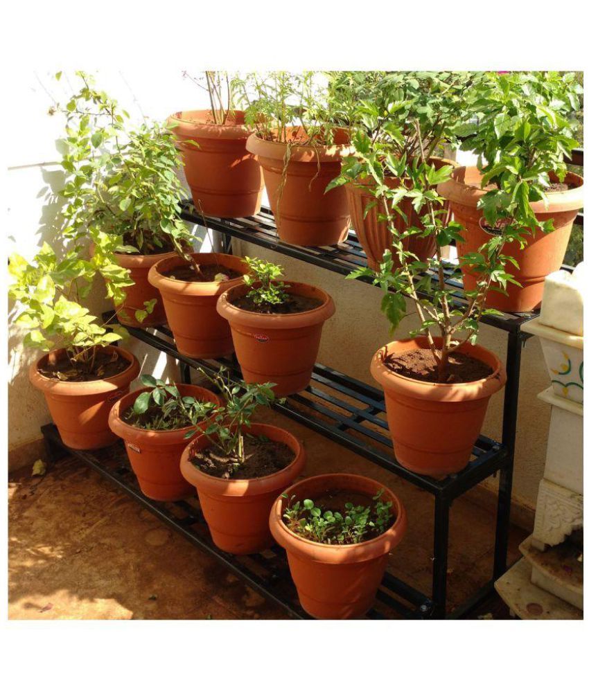 Akura Both Planter Stand Online At Low Akura Both Planter Stand