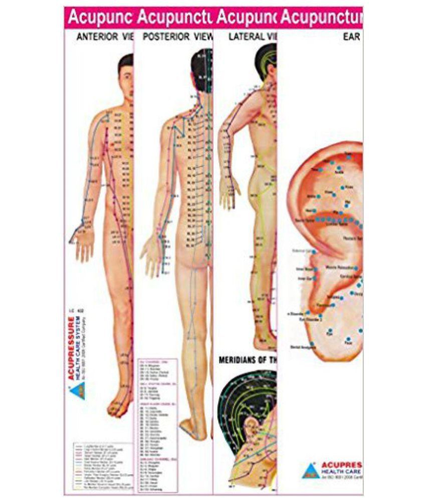 Acupuncture Charts For Sale