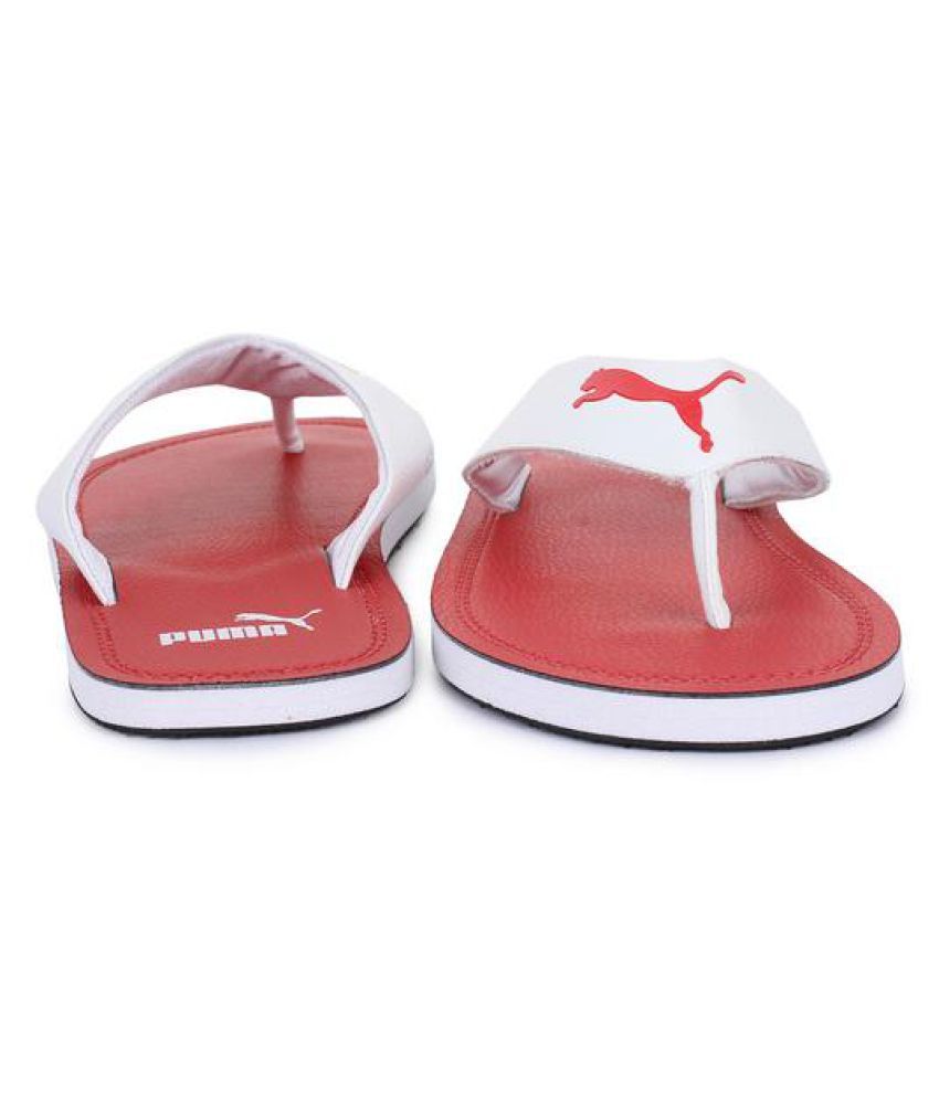 puma flash cat idp