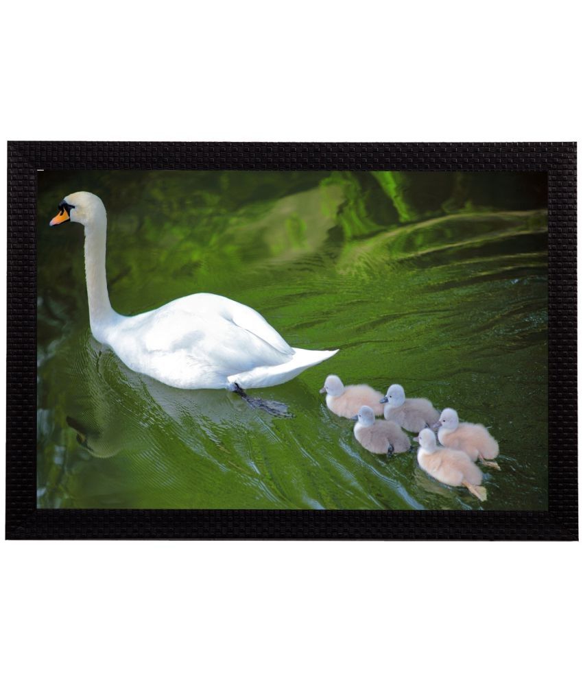     			eCraftIndia Multicoloured Swans UV Wall Art