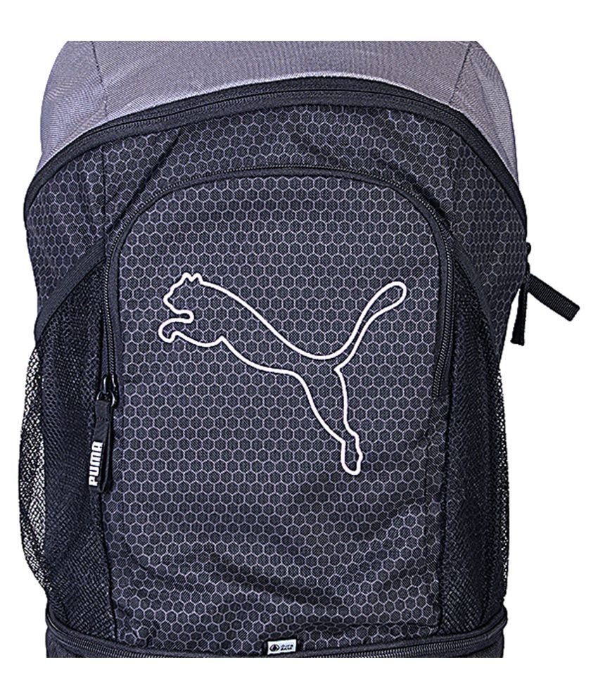 puma echo