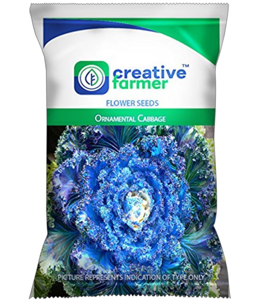 Creative Farmer Ornamental Cabbage Flower Seeds Buy Creative Farmer