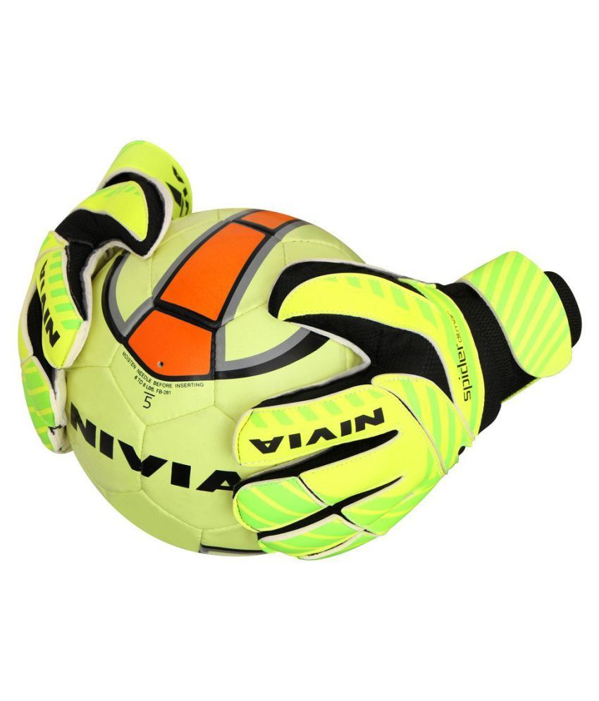 nivia ditmar 2.0