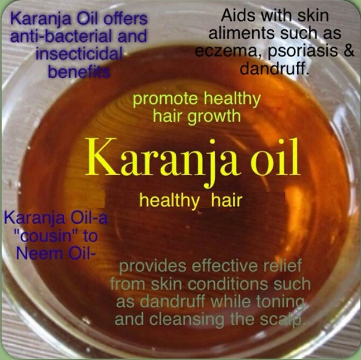 Dr Neem Pure Herbal Karanj Oil  Pongamia Oil  Good for hair skin and  body  Properties of Neem Oil Natural Organic Oil Hair Oil  Price in  India Buy Dr