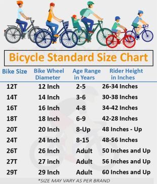 bsa flora cycle 16 price