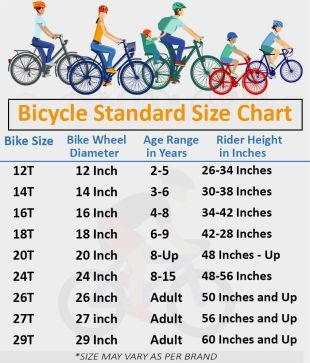 bsa toonz cycle