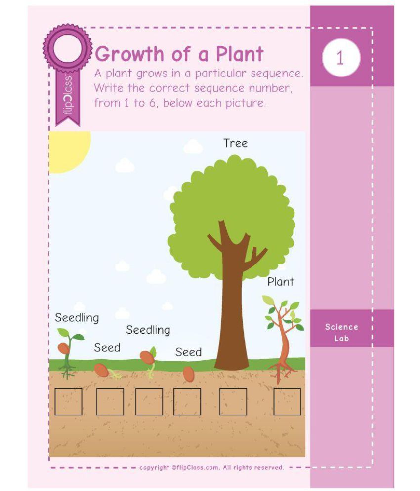 ukg science worksheets a worksheet blog
