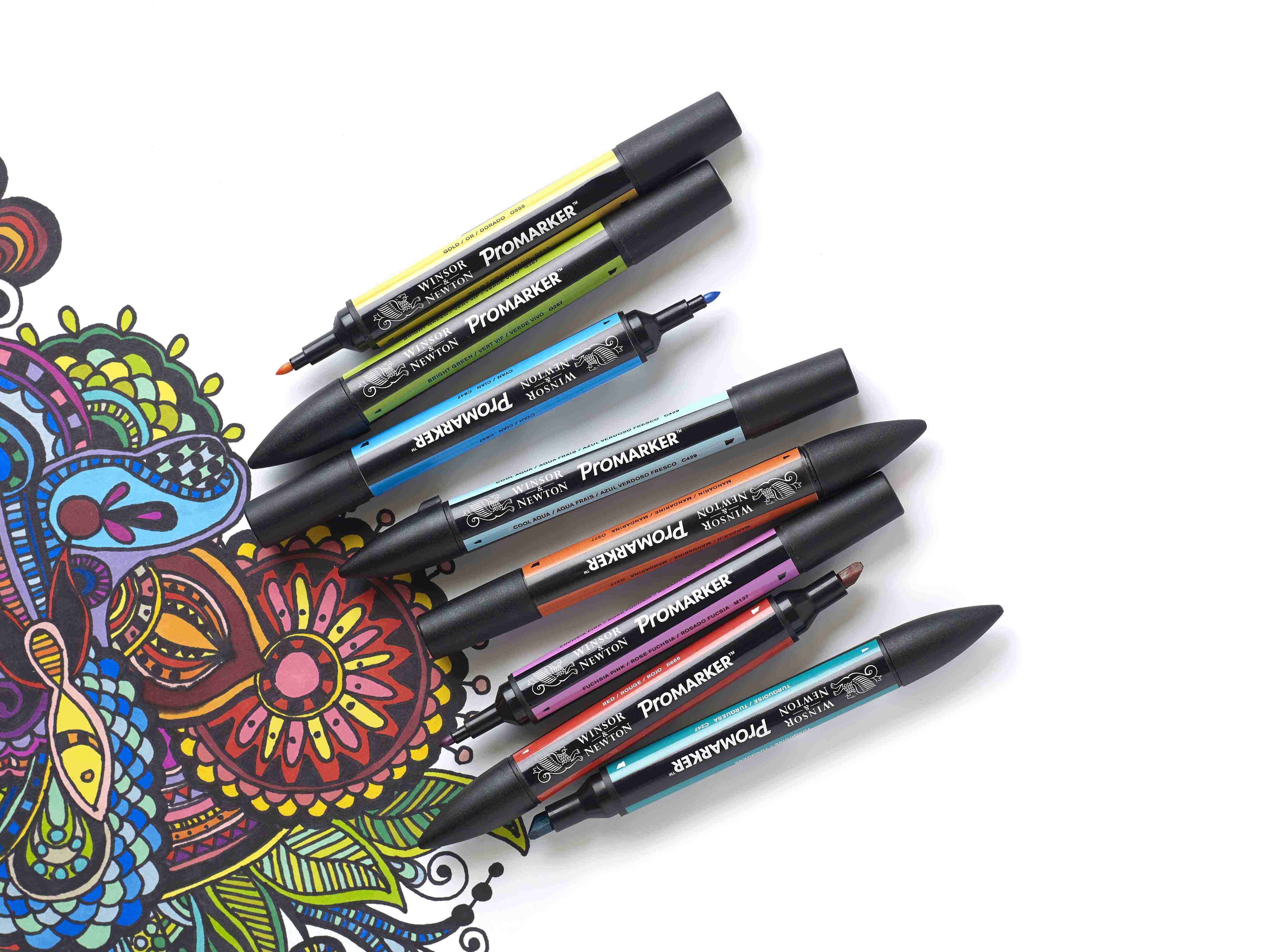 12 couleurs + Blender gratuit Winsor et Newton Letraset promarker set Set No.2