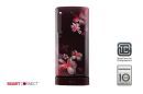 LG 190 Ltr 4 Star GL-D201ASPX Single Door Refrigerator - Brown