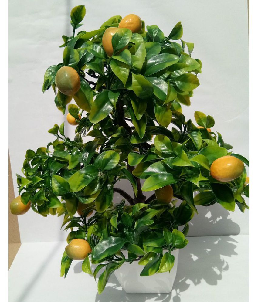 Aaryash Good Deals Bonsai Tree Multicolour Artificial Tree Plastic