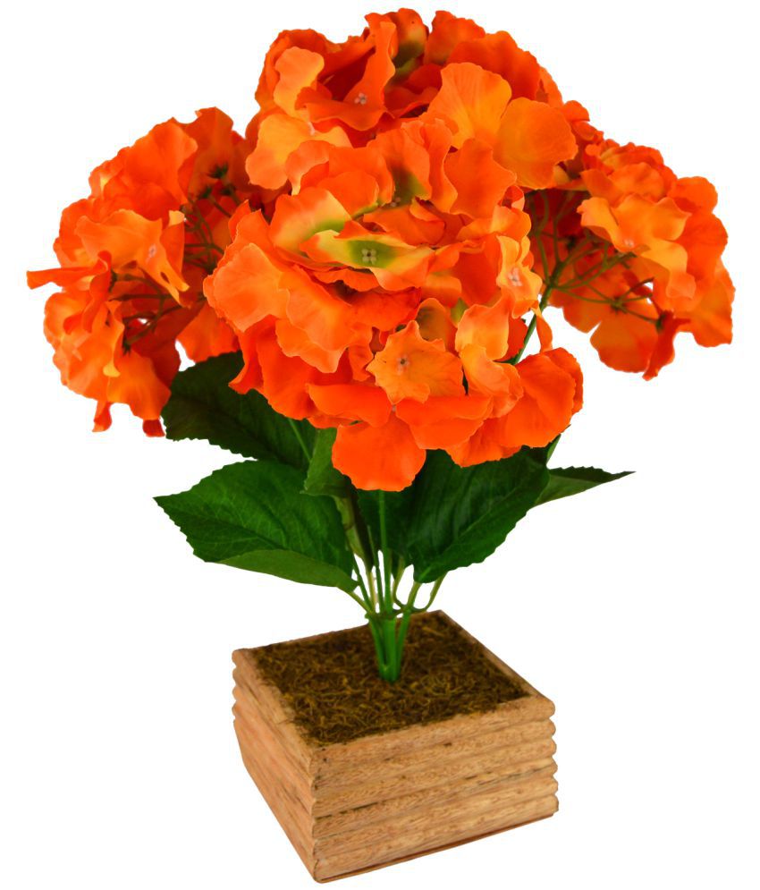 The Fancy Mart Wild Flower Flowers With Pot Orange - Pack of 1: Buy The ...
