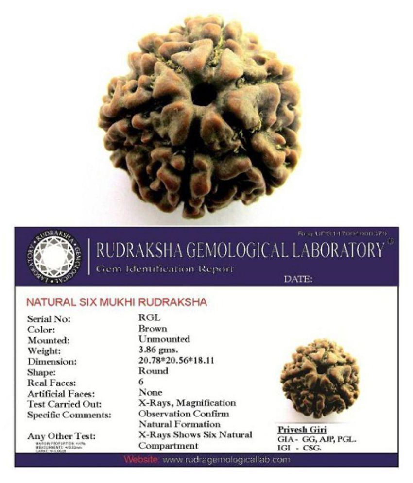     			Shivoham 6 Mukhi Rudraksha Wood With Lab Certified 6 Face Rudraksha