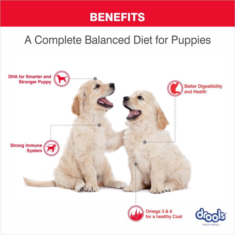 Drools Chicken and Egg Puppy Dog Food, 1.2kg Buy Drools Chicken and