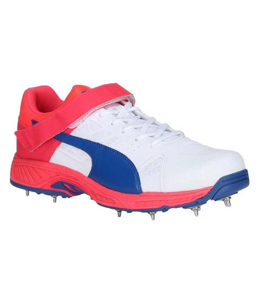 puma mens cricket shoes