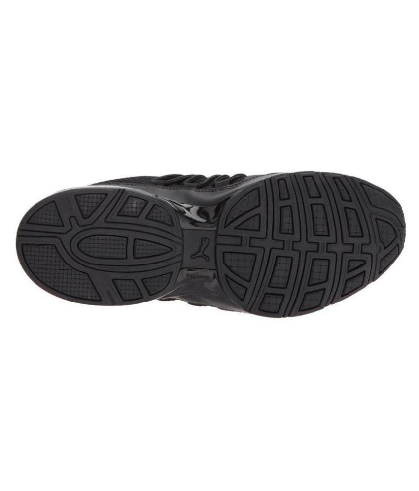 puma cell regulate winterized