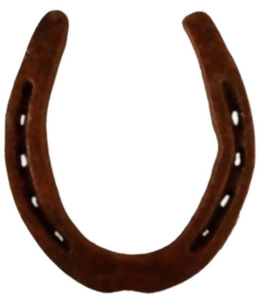     			Arina Collection Brown Iron Horse Shoe