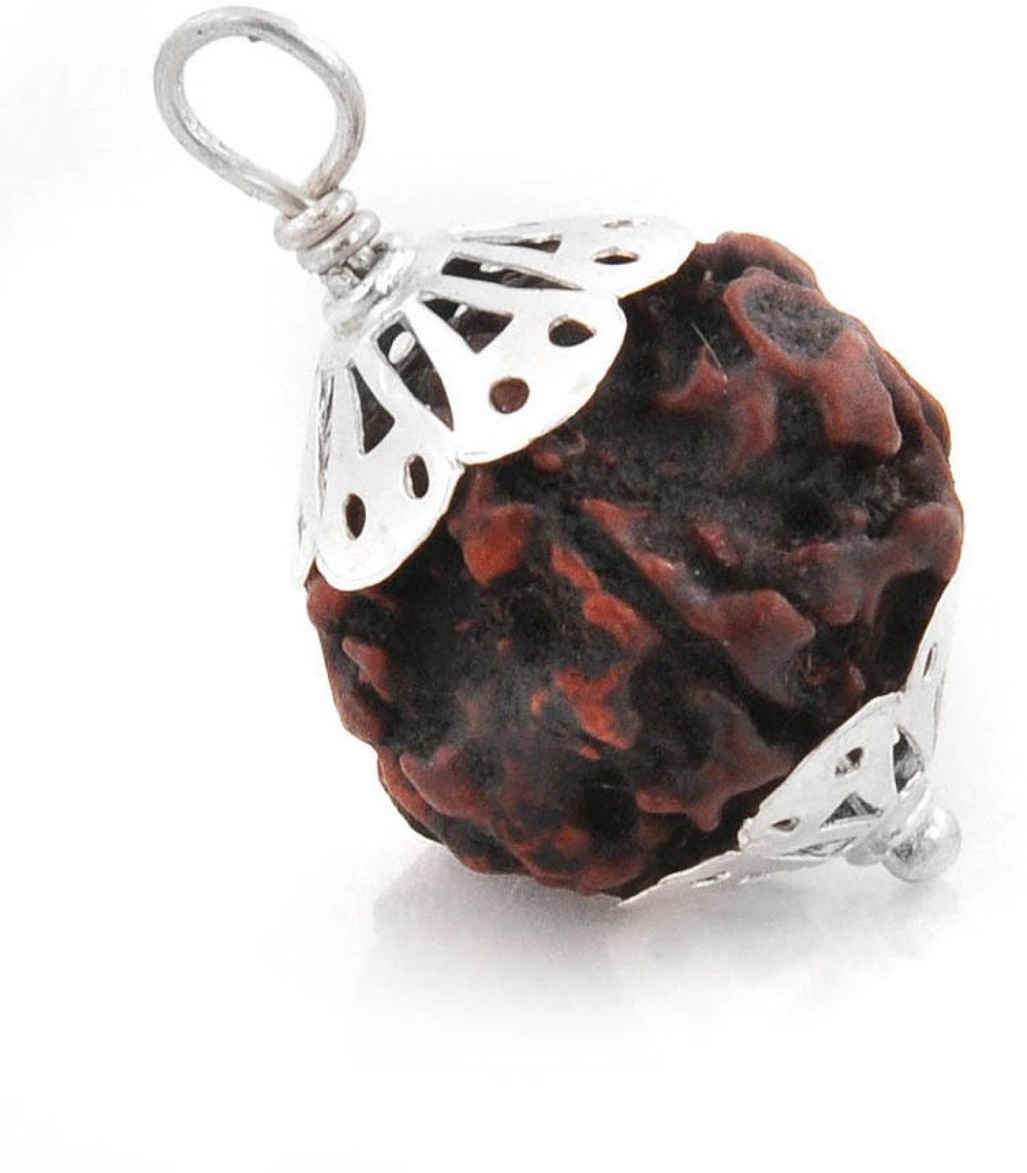 shivoham-7-mukhi-rudraksha-7-face-rudraksha-buy-shivoham-7-mukhi