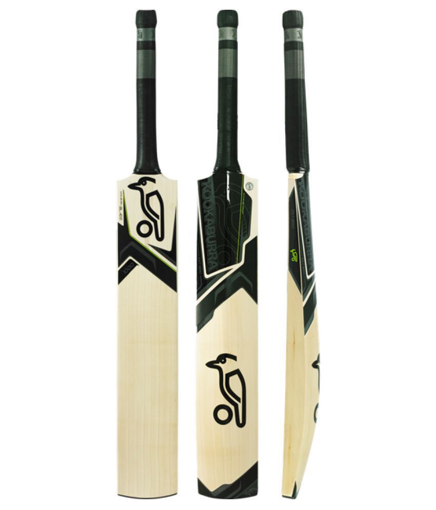 RetailWorld Kashmir Willow Cricket Bat for Leather Ball ...