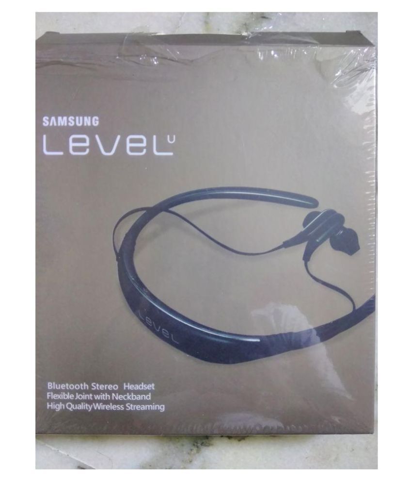 level u mic not working