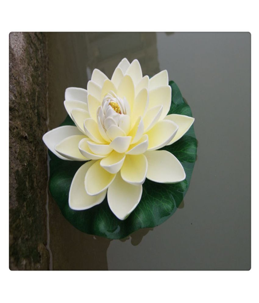 Floating lotus лилейник